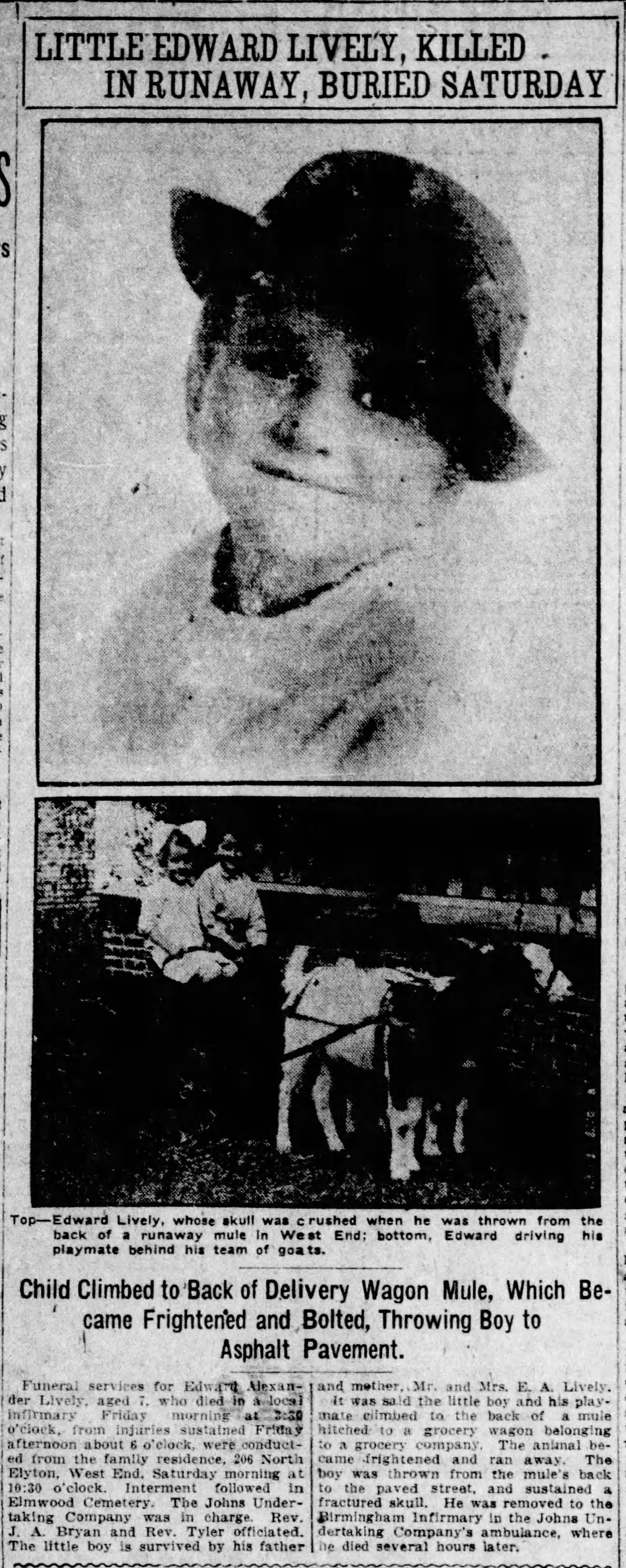 Edward Alexander Lively obituary